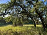 0 Rolling Oaks - Photo 13