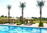 63 Playa - Photo 48