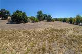 2115 El Camino Real - Photo 13