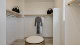 3238 Oak Trail Drive - Photo 11