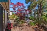1224 Canyonwood Ct - Photo 27