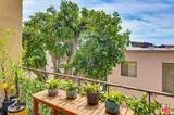 970 Palm Avenue - Photo 43