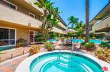 970 Palm Avenue - Photo 48