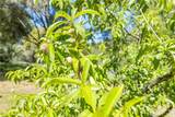 3703 Sherrod - Photo 52