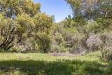 3703 Sherrod - Photo 57