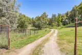 3703 Sherrod - Photo 59