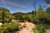 24926 Jim Bridger Road - Photo 18