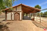 24926 Jim Bridger Road - Photo 19
