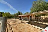 24926 Jim Bridger Road - Photo 20