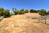 24926 Jim Bridger Road - Photo 23