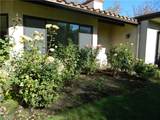 888 Via Maria - Photo 21