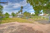 513 Smilax - Photo 32