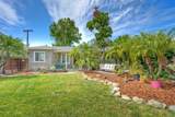 513 Smilax - Photo 5