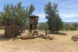 2222 Tortuga Street - Photo 47