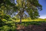 77505 Reinert Road - Photo 10