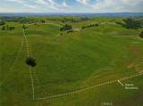 77505 Reinert Road - Photo 3
