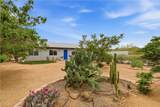 58193 Campanula - Photo 23