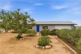 58193 Campanula - Photo 24