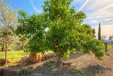 3929 Pardes Way - Photo 64