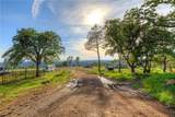 3929 Pardes Way - Photo 65