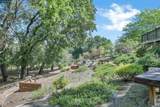 975 Calle Verde - Photo 41