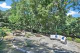 975 Calle Verde - Photo 45