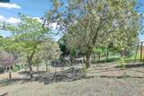 975 Calle Verde - Photo 48