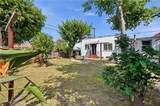 447 Hawaiian - Photo 25