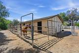 7144 Via Mariposa Sur - Photo 54