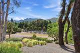 7144 Via Mariposa Sur - Photo 71