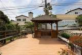 33891 Malaga Drive - Photo 41