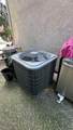 8649 Red Clover Way - Photo 34
