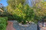 19803 Linnet Street - Photo 50