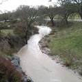 0 Nickel Creek Road - Photo 7