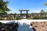 320 Satsuma Trail - Photo 27