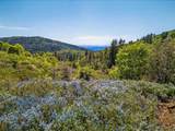 200 +/- Acres Palomar Divide Truck Trail - Photo 1