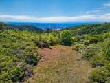 200 +/- Acres Palomar Divide Truck Trail - Photo 11