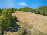 200 +/- Acres Palomar Divide Truck Trail - Photo 13