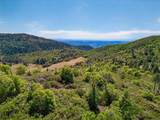 200 +/- Acres Palomar Divide Truck Trail - Photo 17