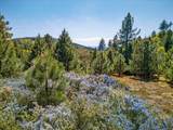 200 +/- Acres Palomar Divide Truck Trail - Photo 19