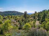200 +/- Acres Palomar Divide Truck Trail - Photo 21