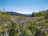 200 +/- Acres Palomar Divide Truck Trail - Photo 23