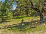 200 +/- Acres Palomar Divide Truck Trail - Photo 25