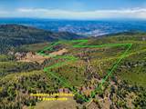 200 +/- Acres Palomar Divide Truck Trail - Photo 28