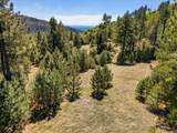 200 +/- Acres Palomar Divide Truck Trail - Photo 6