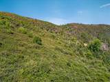 200 +/- Acres Palomar Divide Truck Trail - Photo 9