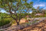 6007 Colodny Drive - Photo 49