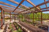 6007 Colodny Drive - Photo 55