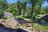 4907 Daffodil Dr - Photo 38
