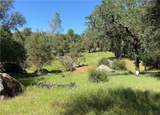 4907 Daffodil Dr - Photo 56